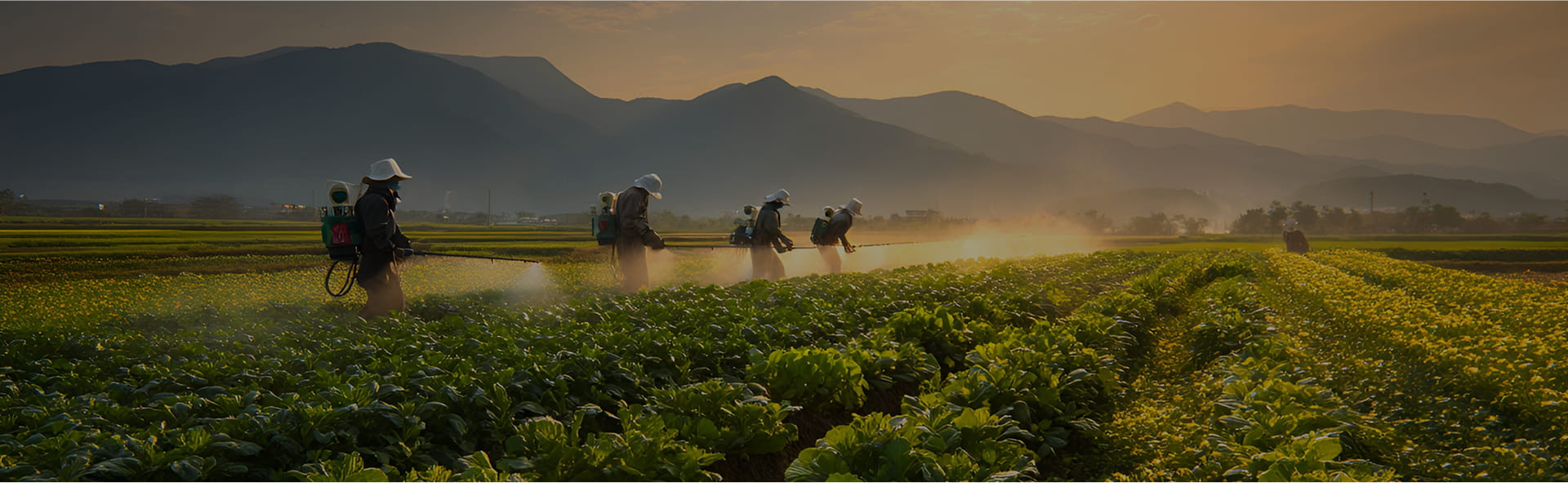 Hebei Guituo Neues Material Co., Ltd.